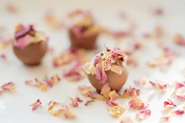 안드로메다 카지노 안드로이드/iOS 앱